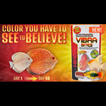 HIKARI Vibra Bites (73gr)