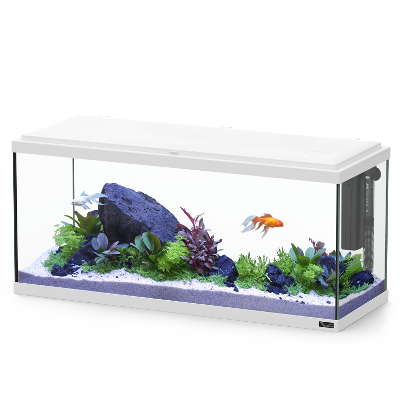 AQUATLANTIS Aquário Explorer Amesterdão