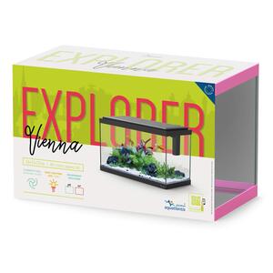 explorer-viena-box.jpg