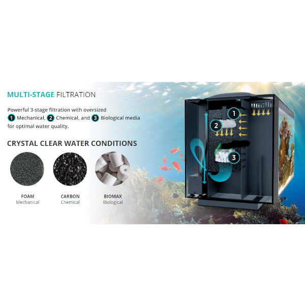 FLUVAL Aquário Marinho Evo 52L