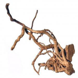 red-moor-wood-2.jpg