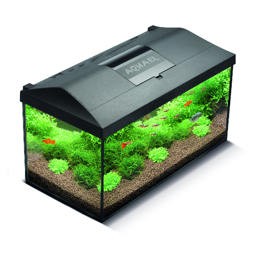 Aquael Aquarium set leddy 75 Black