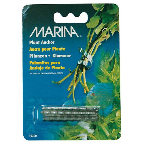 MARINA Âncoras para plantas