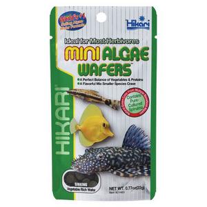 minialgae22_600.jpg
