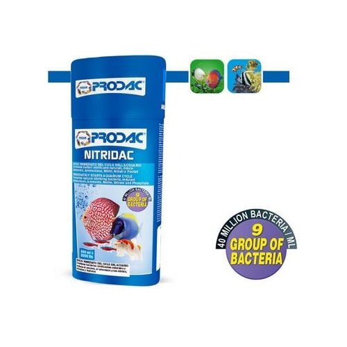 Prodac Nitridac (100ml)