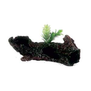 troncofuradocplanta.png