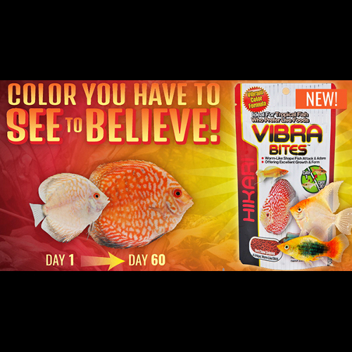HIKARI Vibra Bites XL (125gr)