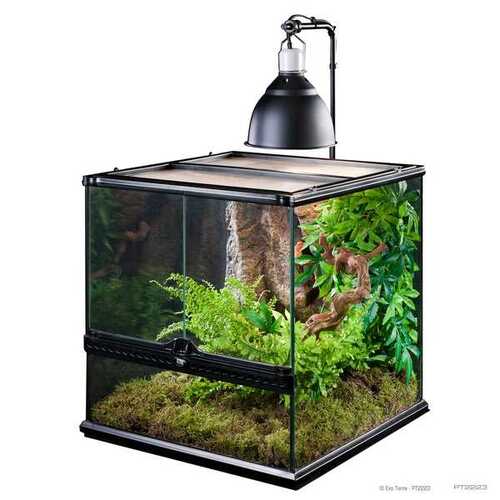 Suporte para casquilho de lâmpada tipo dome