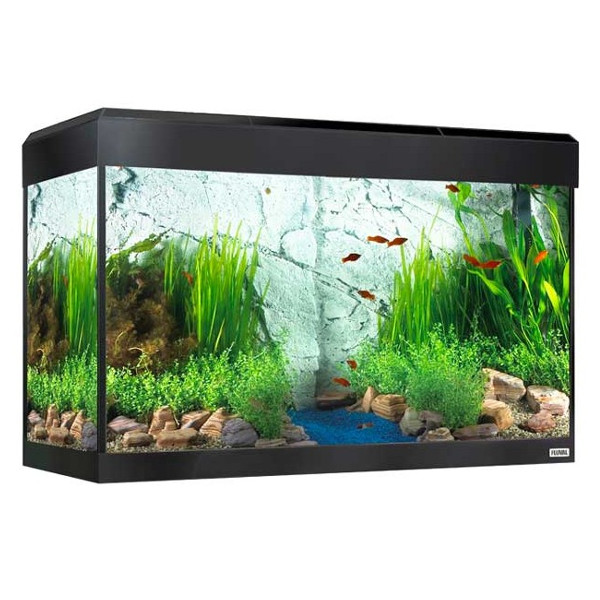 FLUVAL Roma Aquário + Móvel c/ LED 125L