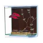 MARINA Aquário Kit p/ Betta Contemporary 3L